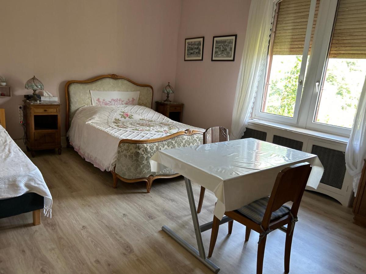 Chambre Gentiane 2 à 3 personnes wifi Saint-Amarin Extérieur photo